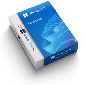 Microsoft Windows 11 Enterprise