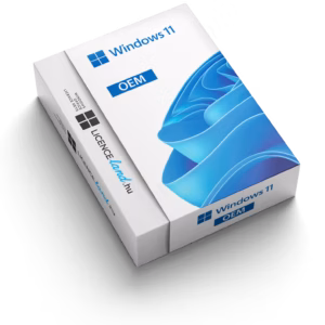 Microsoft Windows 11 Pro (OEM)