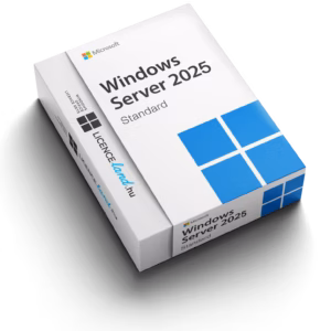 Microsoft Windows Server Standard 2025